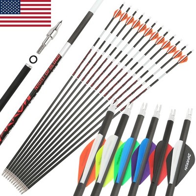 12pcs 31inch Carbon Arrow Spine 300-500 Luminous Shaft 2'' Rubber Vanes Archery