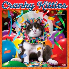 Avanti Cranky Kitties OFFICIAL | 2026 12x24" Square Wall Calendar | Plastic-Free