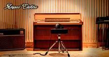 Steinberg Amped Elektra