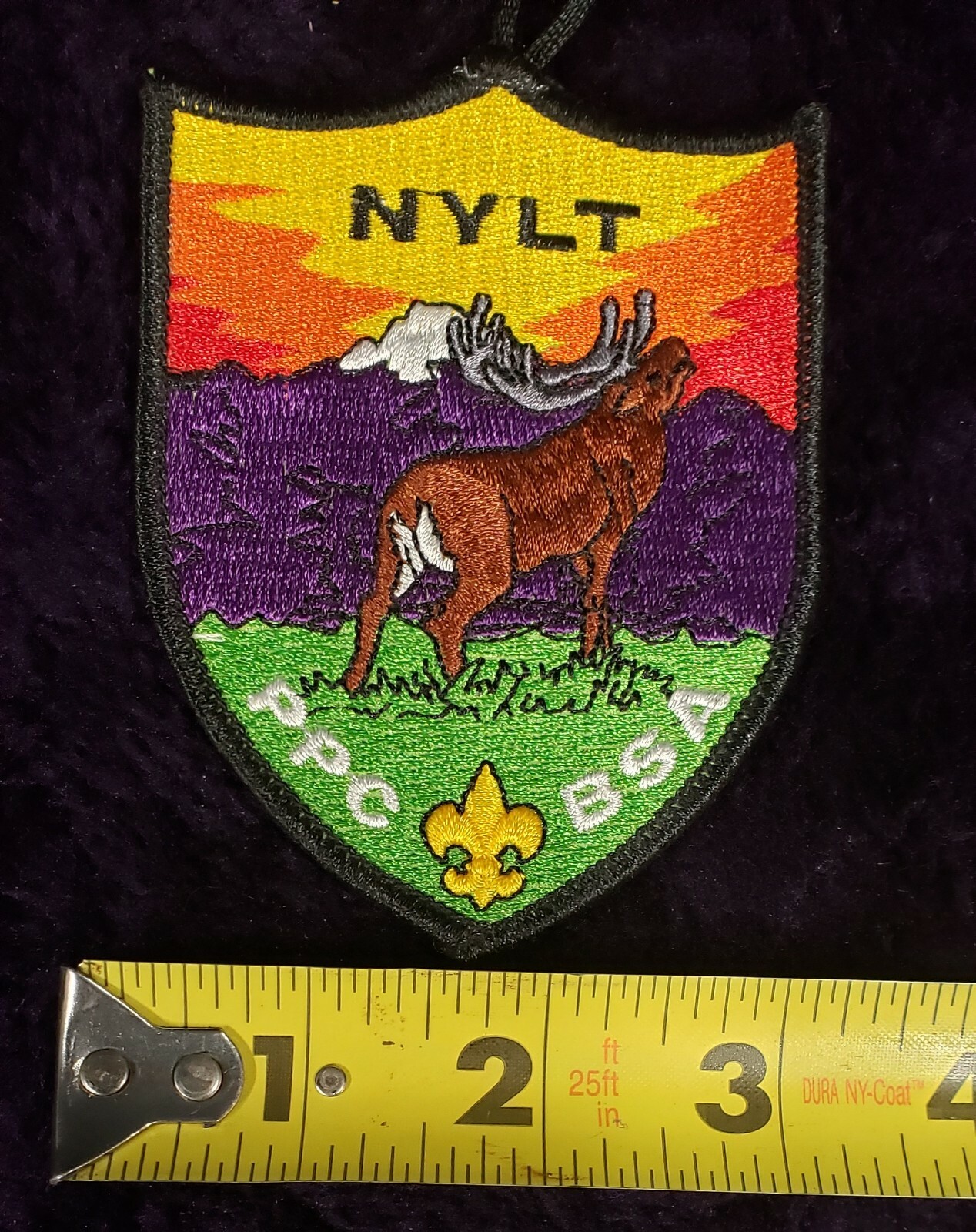 Picture 48 of 59
