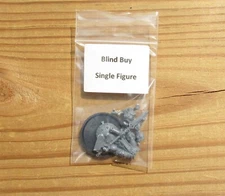 W:AOS Slave to Darkness _Darkoath Marauder w/ Spear Blind Buy Single Fig