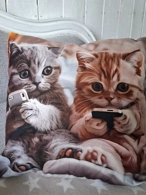 Kissenbezug Dekokissen Maine Coon Katze Kissen Motiv - Bild 1 von 4