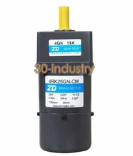 1PCS New For 220V 25W Medium and Large Brake Motor 4RK25GN-CM/4GN15K *lh