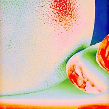 Citrus Citrus - Albedo Massima (Vinyl LP - 2023 - EU - Original)