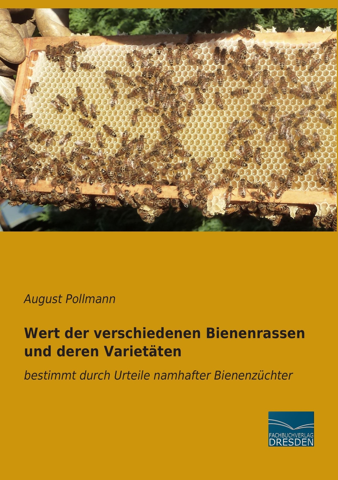 Thumbnail - Wert Der Verschiedenen Bienenrassen Und Deren Varietäten August