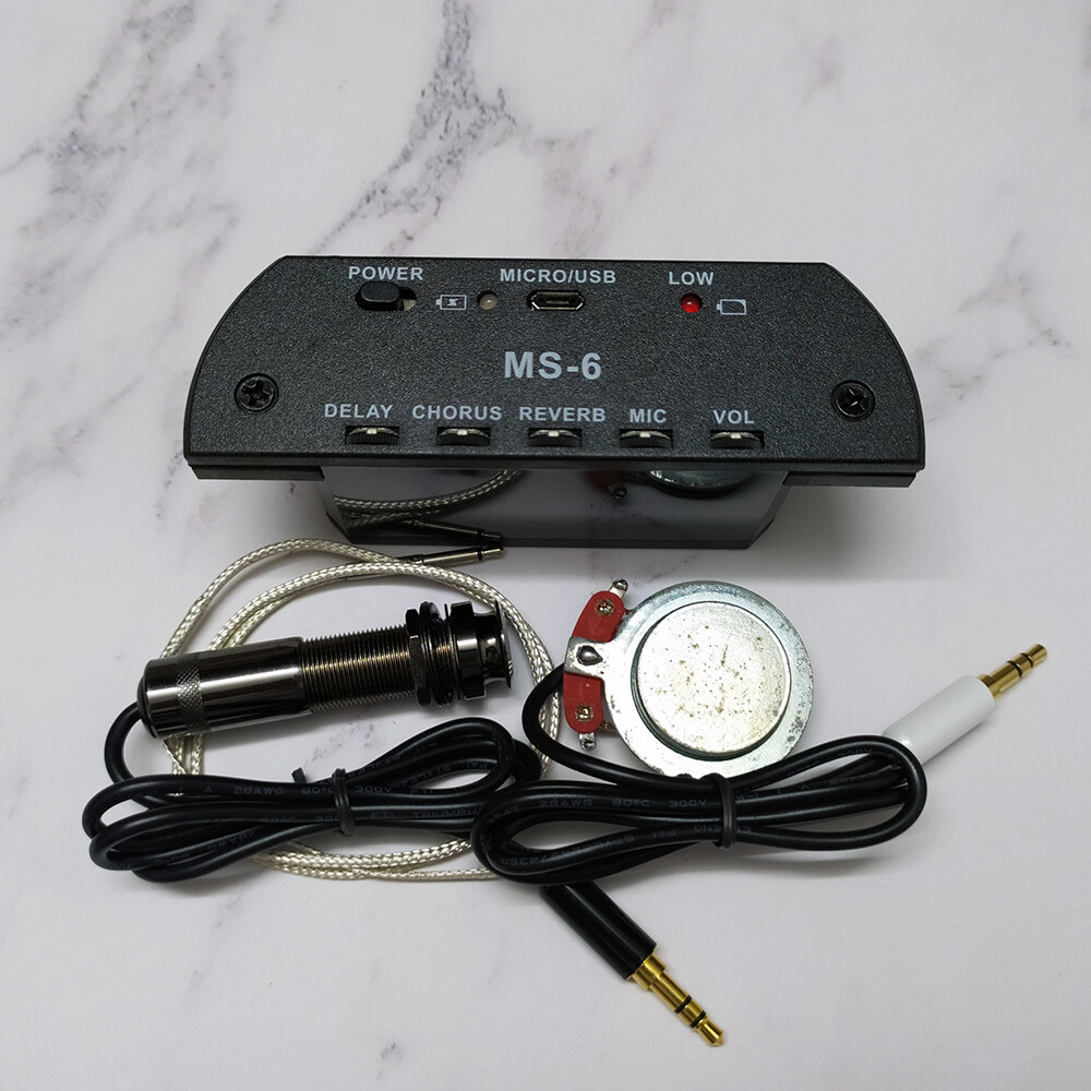 Acoustic Guitar Soundhole Resonance Pickup Delay Chorus Reverb Mic