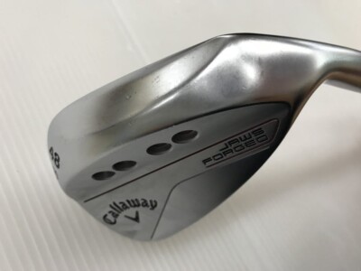 Callaway JAWS FORGED 2023 Chrome Wedge #48(1Club)/DG/Flex:SR