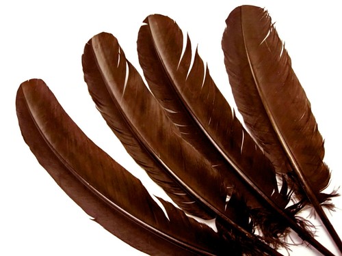 1 Lb Brown Turkey Tom Rounds Secondary Wing Quill Wholesale Feather Bulk Costume - Picture 3 of 11