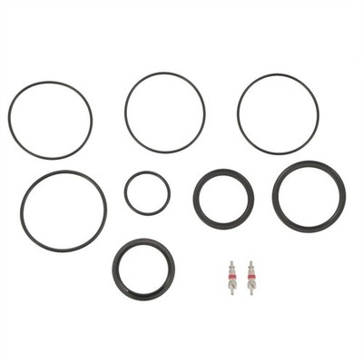 Triair SUNTOUR Werkstatt Luftdichtungssatz
