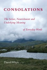 Consolations: The Solace, Nourishment and Und...