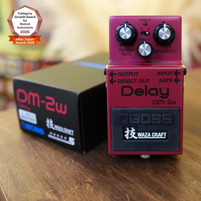 BOSS DM-2W Delay Waza Craft Analog Delay Pedal BBD Made in Japan