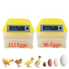 96/112 Egg Digital Incubator Chicken Temperature Control Fully Automatic Turning