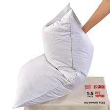 2 Pack Goose Feather Bed Pillow - 600 Thread Count King Size (Pack of 2) White