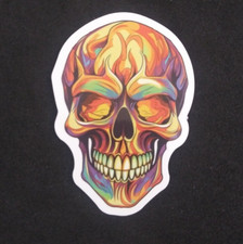 Colorful Cool Creepy Evil Skeleton Sticker 2.5" x 1.58" X