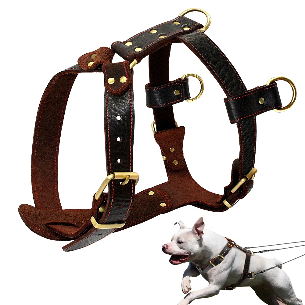 Pitbull deals dog vest