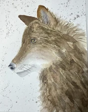 Wolf Watercolor Original Painting 9x12
