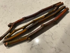 PANACHE FIG - 4 STRONG 10” long cuttings for rooting