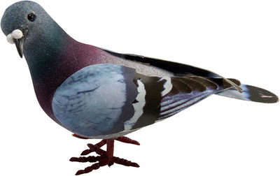 Simulation Foam Pigeon Model,Artificial Imitation Animal Fake Pigeon Home Garden