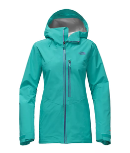 north face gore tex pro shell