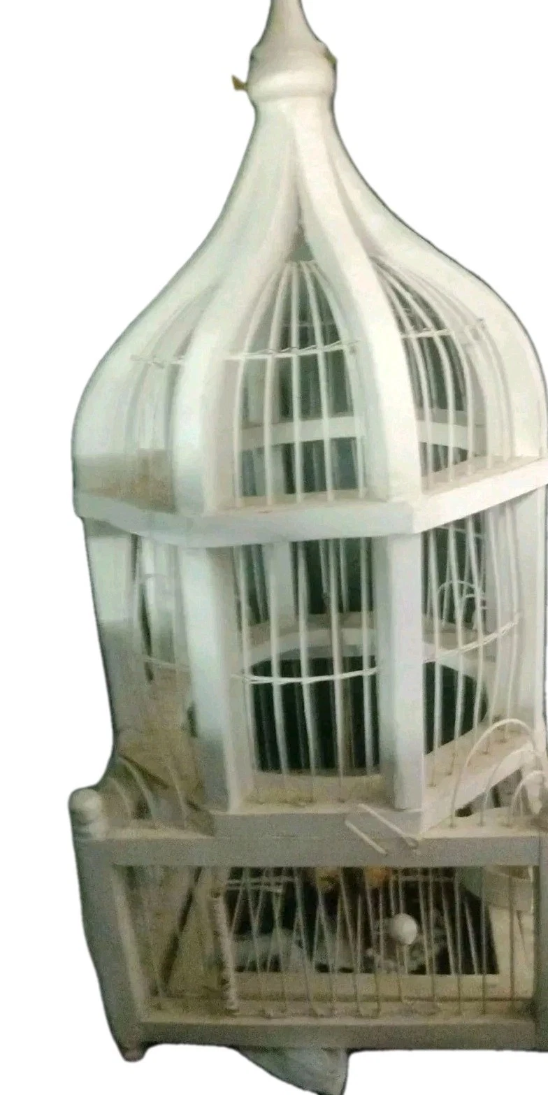 VINTAGE PAINTED WHITE WOOD CATHEDRAL DOOM BIRDCAGE 22 "Tall 9" W