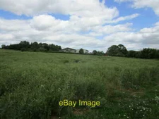 Photo 6x4 Field of oilseed rape and Manor Farm, Tixover  c2019