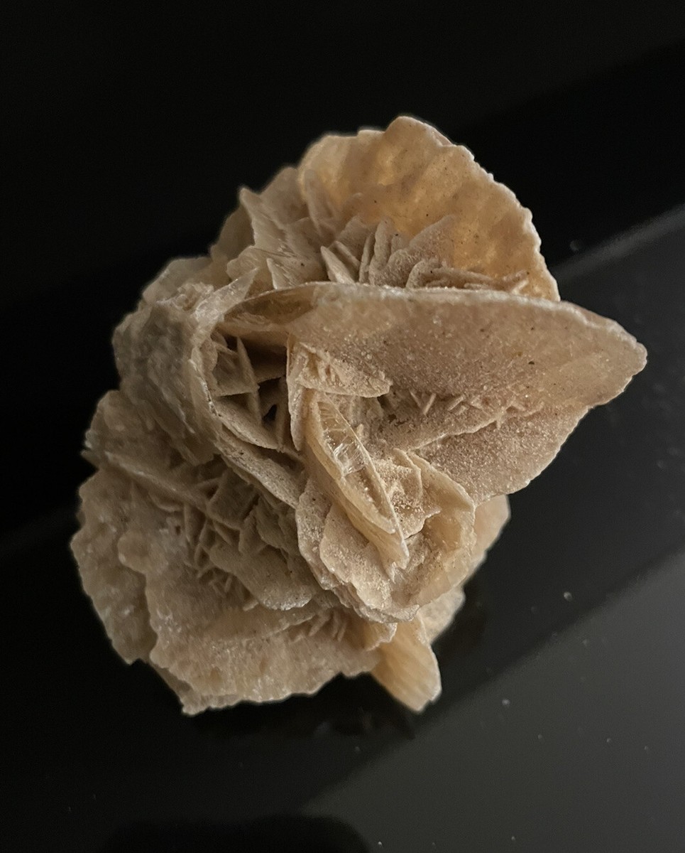 Desert Rose 本体 Rose de Sable 2.2 Ounce Desert Rose From Tunisian Desert The