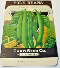 2627.13 ~ 1930’s Vintage Pole Bean Seed ~ Card Seed Co - Fredonia N.Y. NOS!