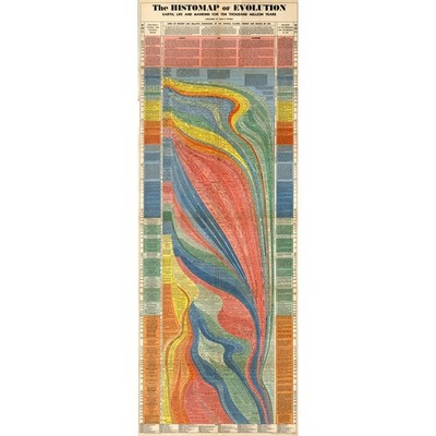 Histomap - 40x50 Inch Rolled Canvas Wall Art Print
