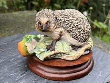 Border Fine Arts Hedgehog Sculpture by June Boyt