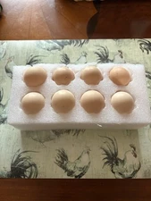Six(6) Straight Run Ayam Cemani Eggs