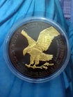 USA - Silver Eagle "Golden Enigma" Ruthenium Gold 2021 -1 oz Fine Silver