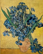 Edition and colour-correction riksmuseum vincent Van Gogh Amsterdam Print Lilien