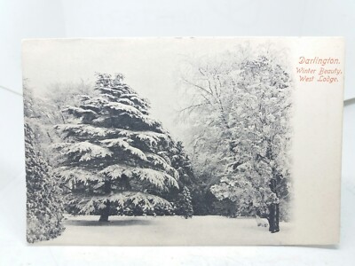 Winterschönheit in der West Lodge Darlington County Durham frühe alte Postkarte