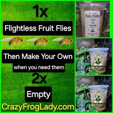 Fruit Fly Culture Flightless 1 and 2 EMPTY Lizard And Dart Frog Food Live