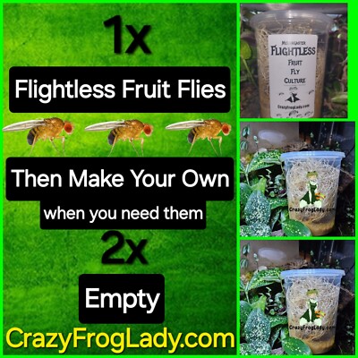 Fruit Fly Culture Flightless 1 and 2 EMPTY Lizard And Dart Frog Food Live