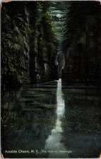 The Pool By Moonlight Ausable Chasm New York NY Unposted DB Postcard