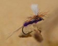 12 Flies - Purple Haze Dry Fly - Mustad Signature Fly Fishing Hooks