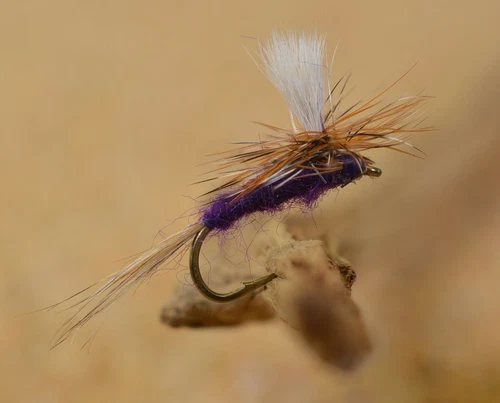 12 Flies - Purple Haze Dry Fly - Mustad Signature Fly Fishing Hooks