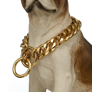 colored chain dog collars