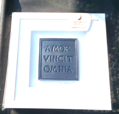 Omni Vincit Omnia Cast Iron coated wall plaque, limed White wood frame