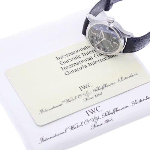 IWC Pilot