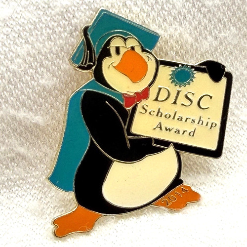 2014 Destination Imagination DISC Scholarship Award Graduation Pin