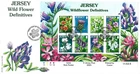 2005-11 Jersey Wild Flowers Miniature Sheet First Day Cover