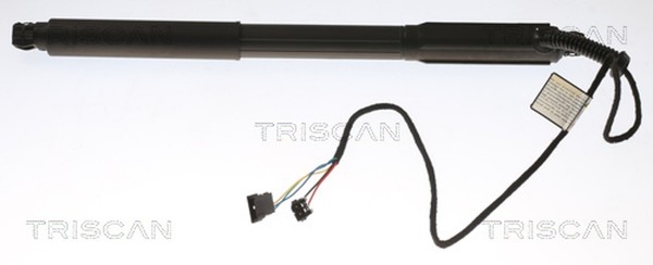 Triscan Heckklappen DäMpfer Gasfeder Kofferraum 8710 11303 FüR BMW X5 E70 Xdrive-image