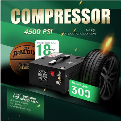 #ad High Pressure Air Pump 12V DC 110V AC Converter Oil Free $238.39