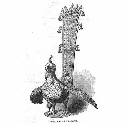 Indien Tippo Saib's Peacock - antiker Druck 1844
