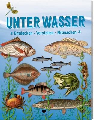 UNTER WASSER | Roots | Entdecken Verstehen Mitmachen | Buch | 72 S. | Deutsch