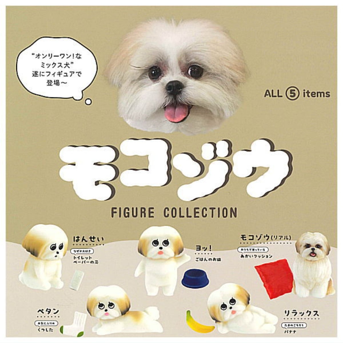Hound Dog ファンクラブグッズ ALL | TAPIRS STORE