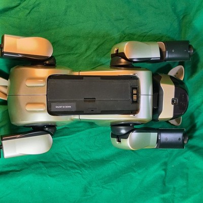 Junk Gold Aibo ERS-210 Sony w/Box w/Memory w/Pink Ball No Tested