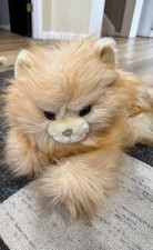 Vintage 1984 Dakin Persian Cat Plush Stuffed Animal Cream Korea 1984